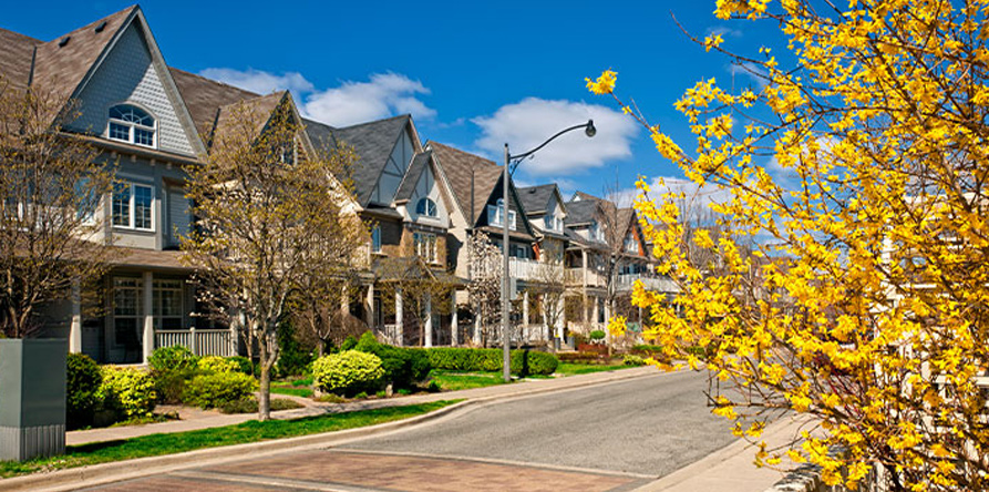 A sunny suburban street lined with stylish houses and blooming yellow flowers, under a bright blue sky with fluffy clouds.
